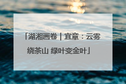 湖湘画卷｜宜章：云雾绕茶山 绿叶变金叶