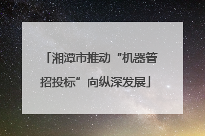 湘潭市推动“机器管招投标”向纵深发展