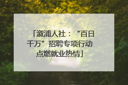 溆浦人社：“百日千万”招聘专项行动点燃就业热情