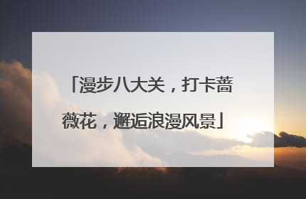 漫步八大关，打卡蔷薇花，邂逅浪漫风景