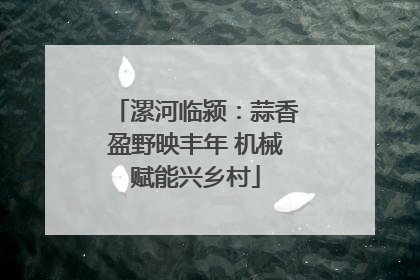 漯河临颍：蒜香盈野映丰年 机械赋能兴乡村