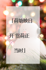 荷塘映日开 赏荷正当时
