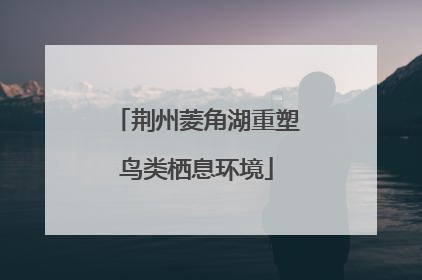 荆州菱角湖重塑鸟类栖息环境