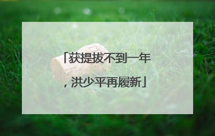 获提拔不到一年，洪少平再履新