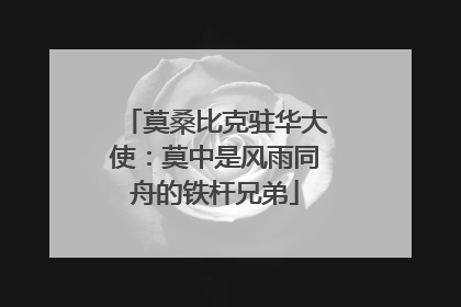 莫桑比克驻华大使：莫中是风雨同舟的铁杆兄弟