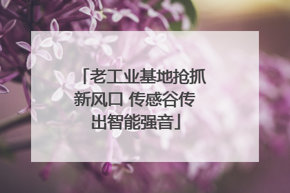 老工业基地抢抓新风口 传感谷传出智能强音