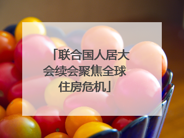 联合国人居大会续会聚焦全球住房危机
