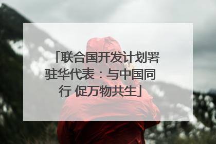 联合国开发计划署驻华代表：与中国同行 促万物共生
