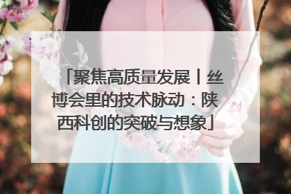 聚焦高质量发展丨丝博会里的技术脉动：陕西科创的突破与想象