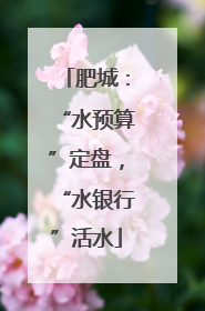肥城：“水预算”定盘，“水银行”活水