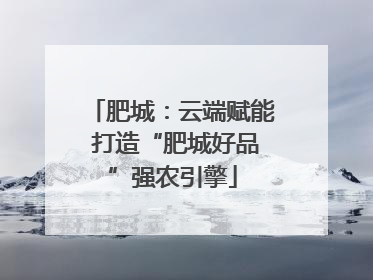 肥城：云端赋能 打造“肥城好品”强农引擎