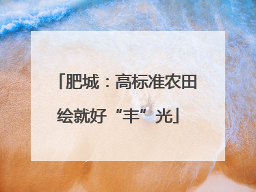 肥城：高标准农田绘就好“丰”光
