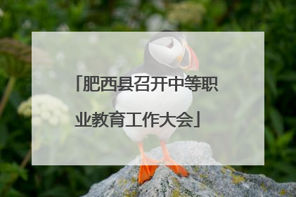 肥西县召开中等职业教育工作大会
