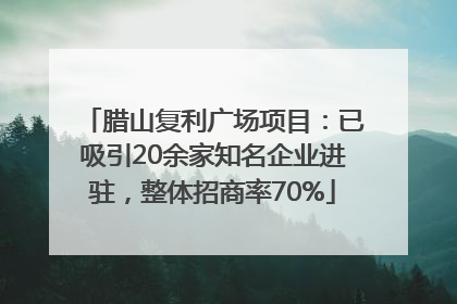 腊山复利广场项目：已吸引20余家知名企业进驻，整体招商率70%