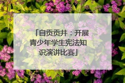 自贡贡井：开展青少年学生宪法知识演讲比赛