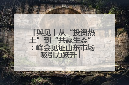 舆见丨从“投资热土”到“共赢生态”：峰会见证山东市场吸引力跃升