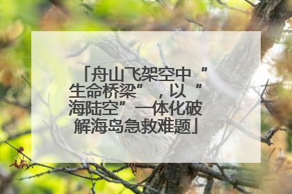 舟山飞架空中“生命桥梁”，以“海陆空”一体化破解海岛急救难题