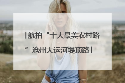 航拍“十大最美农村路”沧州大运河堤顶路
