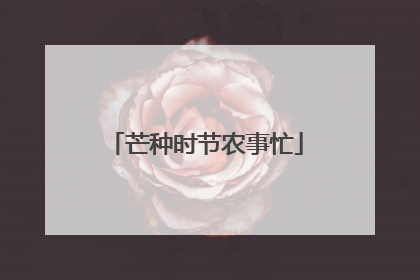 芒种时节农事忙