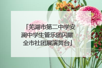 芜湖市第二中学安澜中学生管乐团闪耀全市社团展演舞台