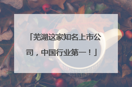 芜湖这家知名上市公司，中国行业第一！