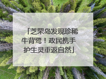 芝罘岛发现珍稀牛背鹭！政民携手护生灵重返自然