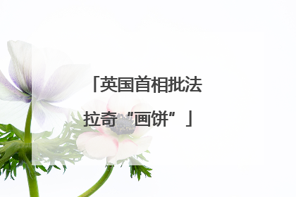 英国首相批法拉奇“画饼”