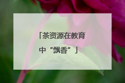 茶资源在教育中“飘香”