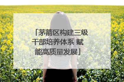 茅箭区构建三级干部培养体系 赋能高质量发展
