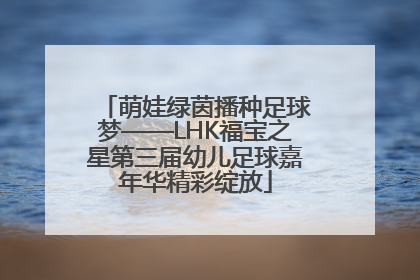 萌娃绿茵播种足球梦——LHK福宝之星第三届幼儿足球嘉年华精彩绽放