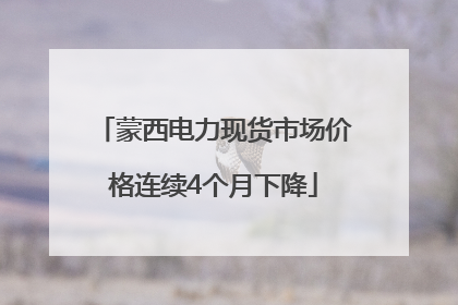 蒙西电力现货市场价格连续4个月下降