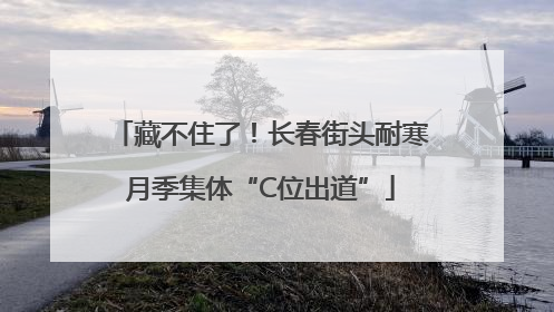 藏不住了！长春街头耐寒月季集体“C位出道”