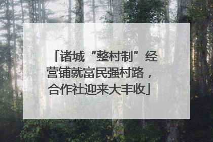 诸城“整村制”经营铺就富民强村路，合作社迎来大丰收