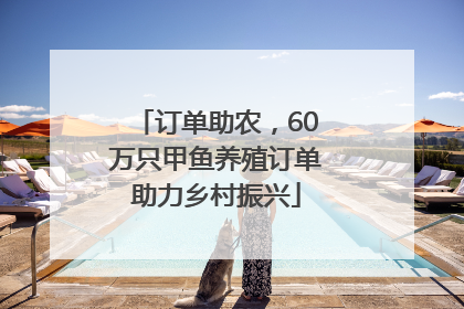 订单助农，60万只甲鱼养殖订单助力乡村振兴