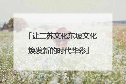 让三苏文化东坡文化焕发新的时代华彩