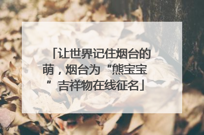 让世界记住烟台的萌，烟台为“熊宝宝”吉祥物在线征名