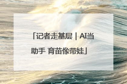 记者走基层｜AI当助手 育苗像带娃