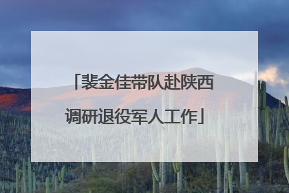 裴金佳带队赴陕西调研退役军人工作
