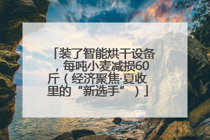 装了智能烘干设备，每吨小麦减损60斤（经济聚焦·夏收里的“新选手”）