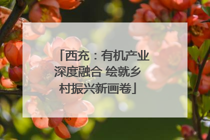 西充：有机产业深度融合 绘就乡村振兴新画卷