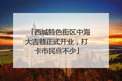 西城特色街区中海大吉巷正式开业，打卡市民真不少