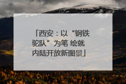 西安：以“钢铁驼队”为笔 绘就内陆开放新图景
