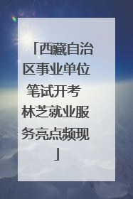 西藏自治区事业单位笔试开考 林芝就业服务亮点频现