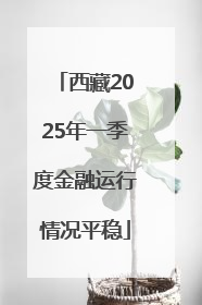 西藏2025年一季度金融运行情况平稳