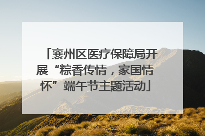 襄州区医疗保障局开展“粽香传情，家国情怀”端午节主题活动