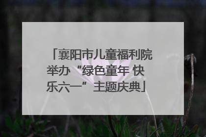 襄阳市儿童福利院举办“绿色童年 快乐六一”主题庆典
