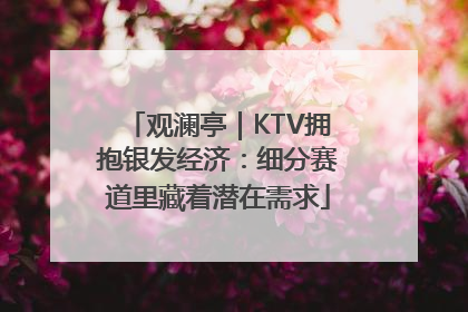 观澜亭｜KTV拥抱银发经济：细分赛道里藏着潜在需求