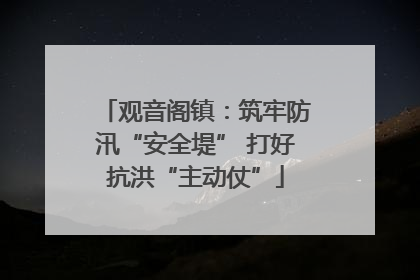 观音阁镇：筑牢防汛“安全堤” 打好抗洪“主动仗”
