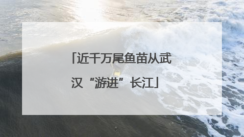 近千万尾鱼苗从武汉“游进”长江