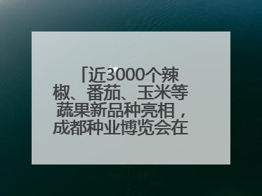 近3000个辣椒、番茄、玉米等蔬果新品种亮相，成都种业博览会在蓉开幕